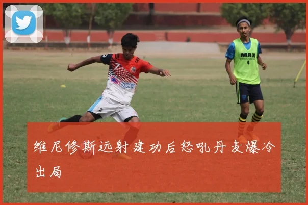 维尼修斯远射建功后怒吼丹麦爆冷出局
