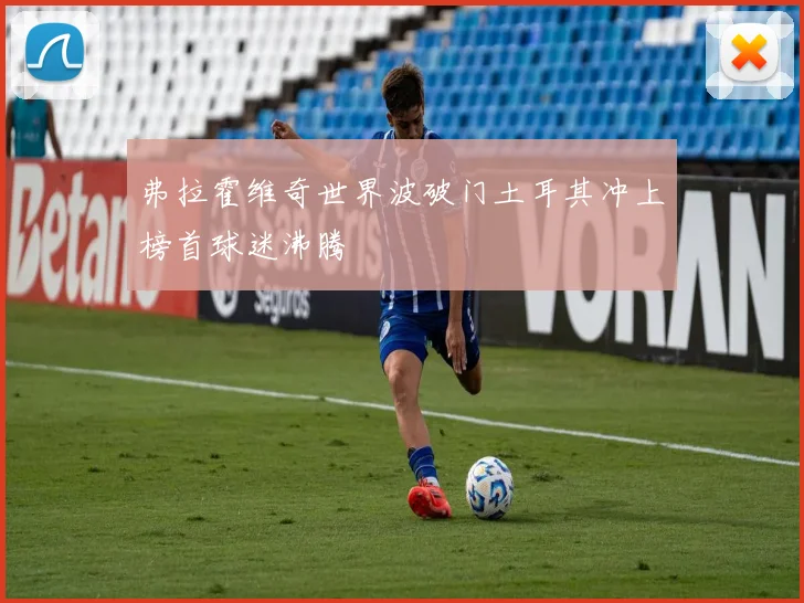 弗拉霍维奇世界波破门土耳其冲上榜首球迷沸腾