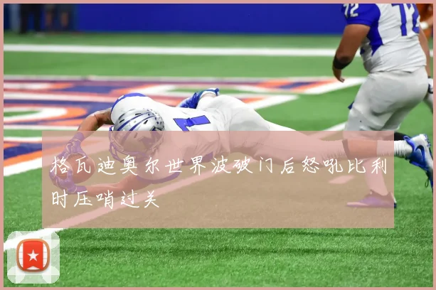 格瓦迪奥尔世界波破门后怒吼比利时压哨过关