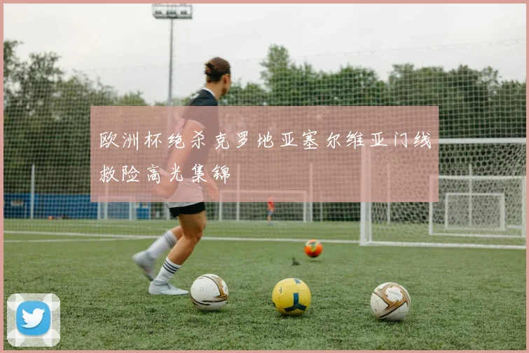 欧洲杯绝杀克罗地亚塞尔维亚门线救险高光集锦