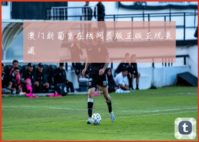 澳门新葡京在线网页版正版正规渠道