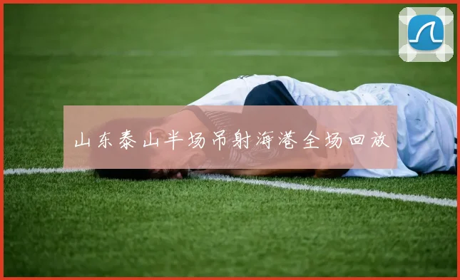 山东泰山半场吊射海港全场回放