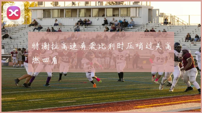特谢拉高速奔袭比利时压哨过关高燃回看