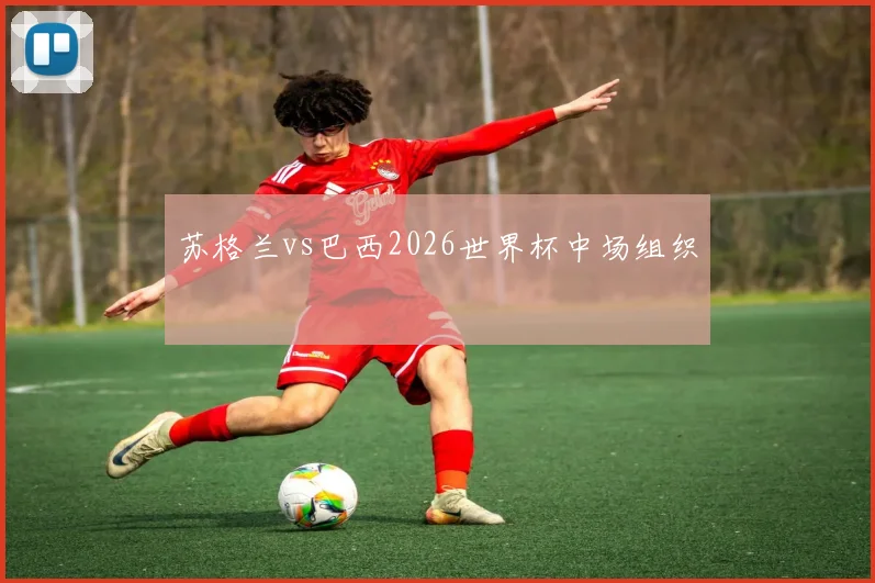 苏格兰vs巴西2026世界杯中场组织